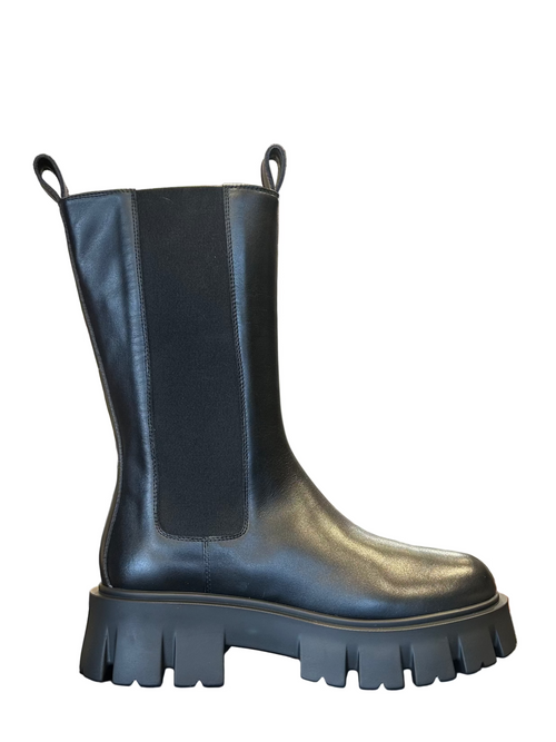 Anfibio - Giampaolo Viozzi